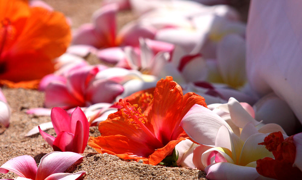 close up of the flowers on the sand at a wedding in Hawaii