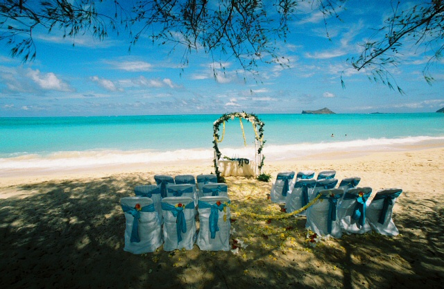 aloha weddings love butterfly island  jpg