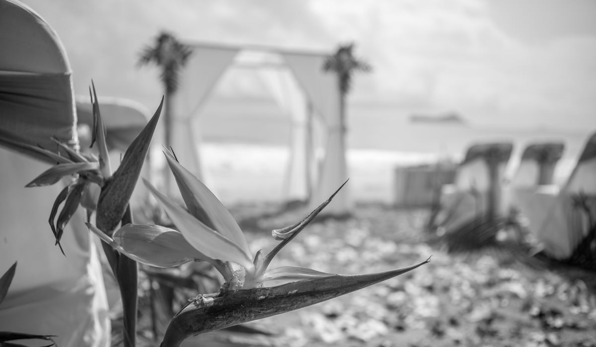 black and white beach wedding in Hawaii with chairs and flowers on the aisle way