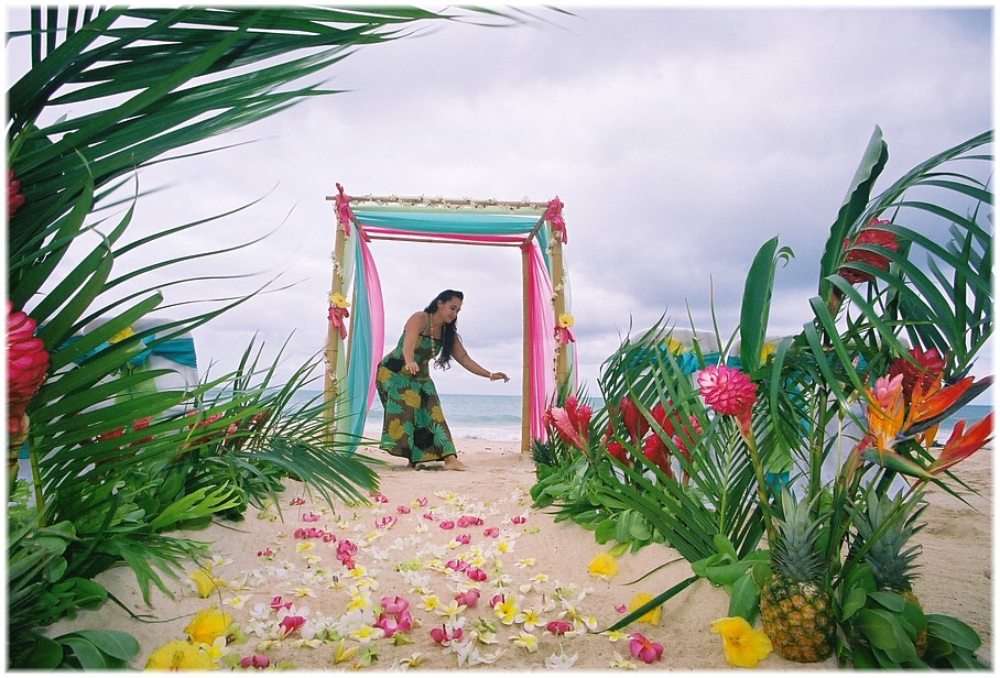 Hula dancer dancing before the 15 year vow renewal couple arrives to their beach wedding with palms and pineapple