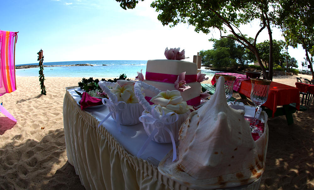 cake with the conch shelland flower baskets for the girls