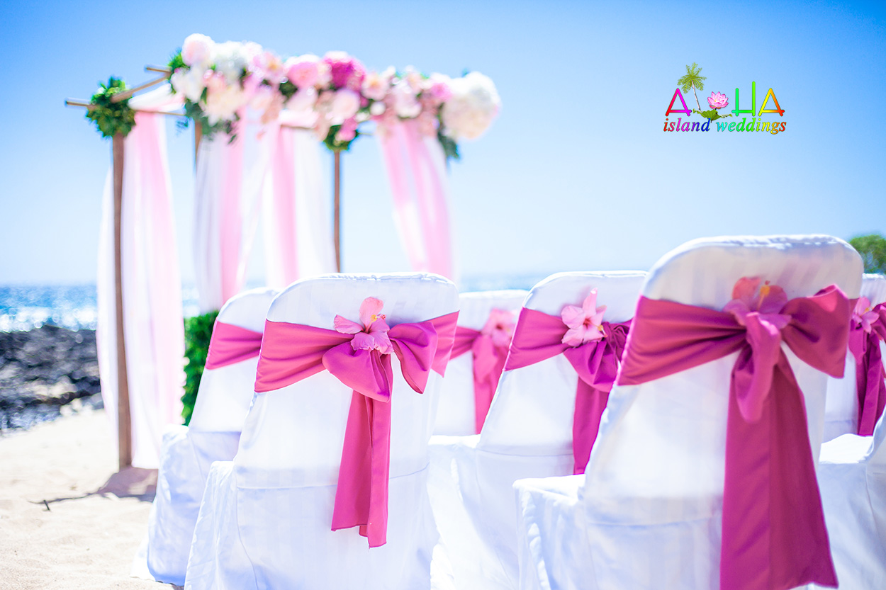 Wedding Ceremony Reception ~DOLPHIN~ Beach Party Ocean Sunset Garter Blue Toss 