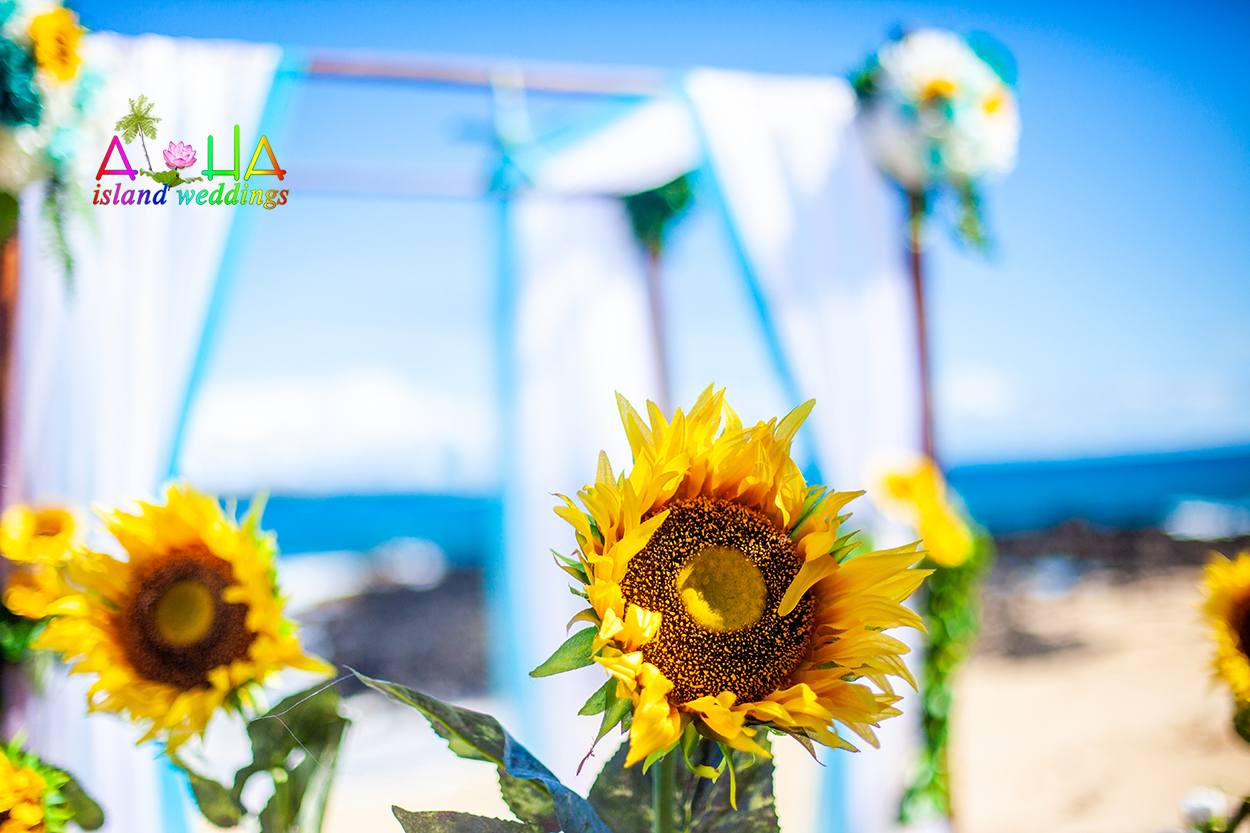 pathway of sunflowers bamboo organza fabric of blue and white archway with turquoise star fish and white and blue orchid theme