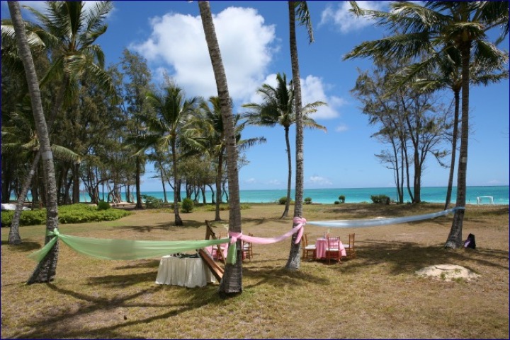 Palm trees on the estate lawn leading down to the ocean