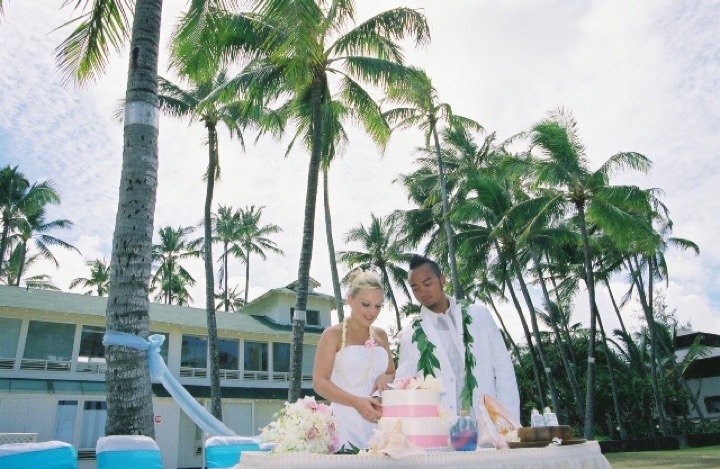 The cake table set on the estate lawn under the palms