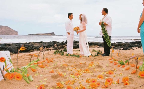 The aisle of orange flowers by the sea, from another angle