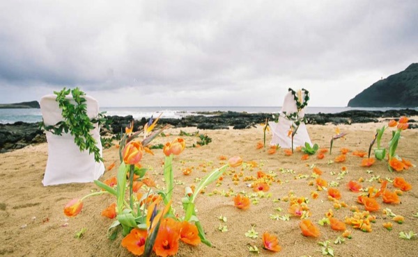 The aisle of orange flowers by the sea