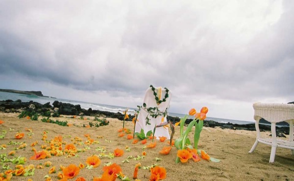 The aisle of orange flowers by the sea, smiling