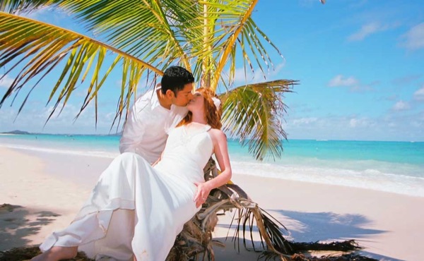 Ashley and her groom under a palm tree at Lanikai ur, from another angle