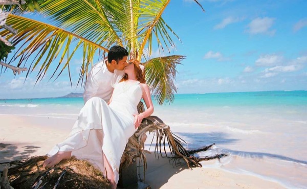 Ashley and her groom under a palm tree at Lanikai, from another angle
