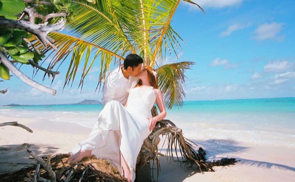 Ashley and her groom under a palm tree at Lanikai ur, in the sunshine