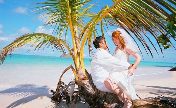 Ashley and her groom under a palm tree at Lanikai ur, laughing together