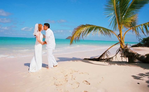 Ashley and her groom under a palm tree at Lanikai