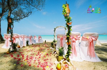 Beach wedding setup with pink sashes on white chairs, a petal aisle and a flower arch by the turquoise ocean
