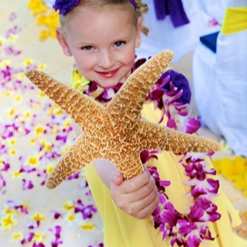 Smiling flower girl holding up a big starfish on the beach