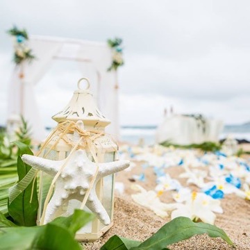 Starfish lantern beside a plumeria and orchid aisle leading to a white beach arch