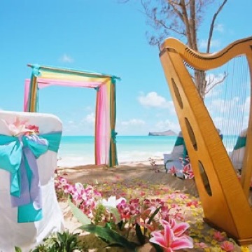 Harp and bamboo gazebo with turquoise sashes on the beach for Melissa and Joey