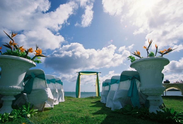 Bird of paradise flowers in white urns at a lawn wedding by the sea