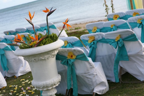 Bird of paradise urns and turquoise chairs on the lawn above the beach