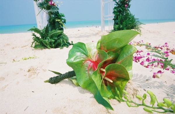 Green anthurium with orchids at a beach wedding
