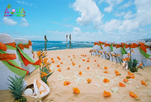Orange hibiscus with birds of paradise along the sand