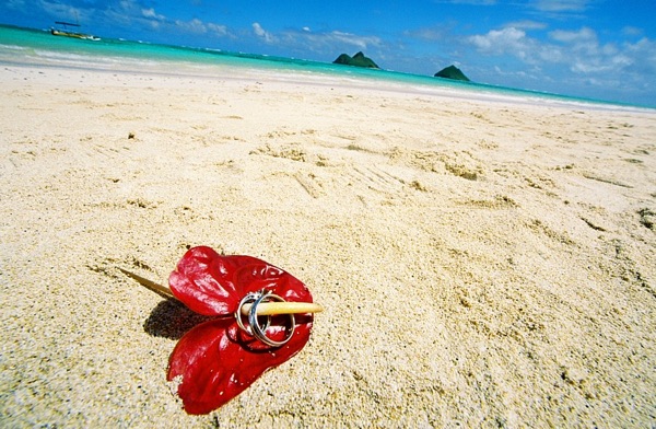 A red anthurium on the white sand with the ocean behind it