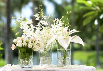White orchids, white roses and anthuriums in a spray