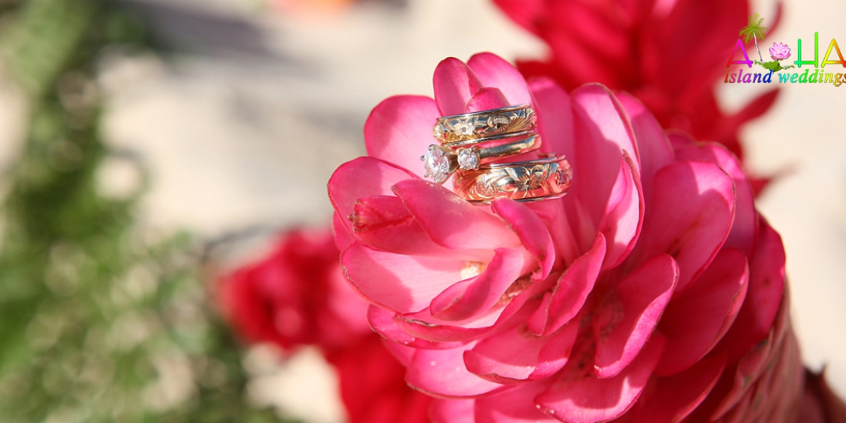 Wedding rings resting on a pink torch ginger flower