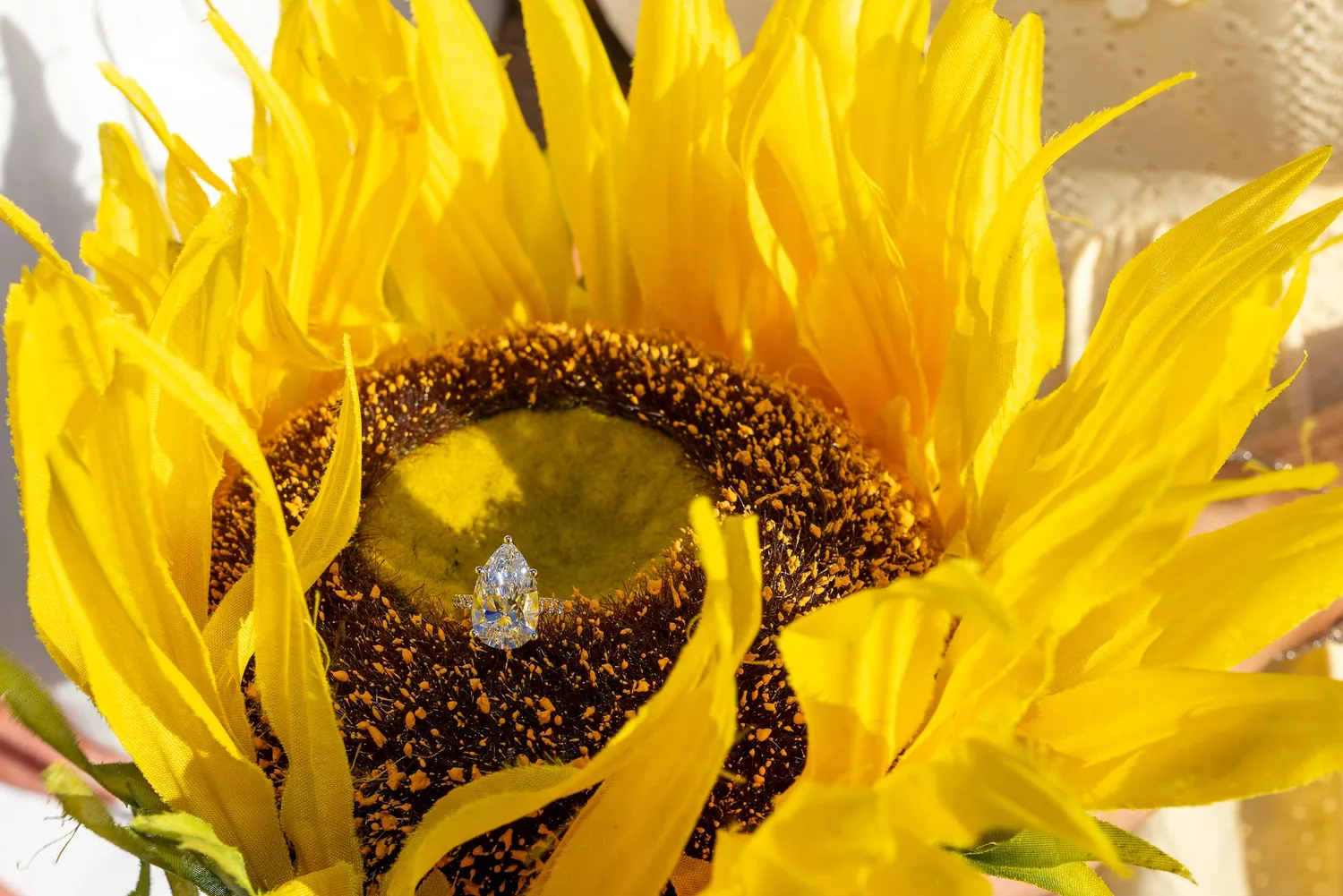 The engagement ring resting in the center of a sunflower