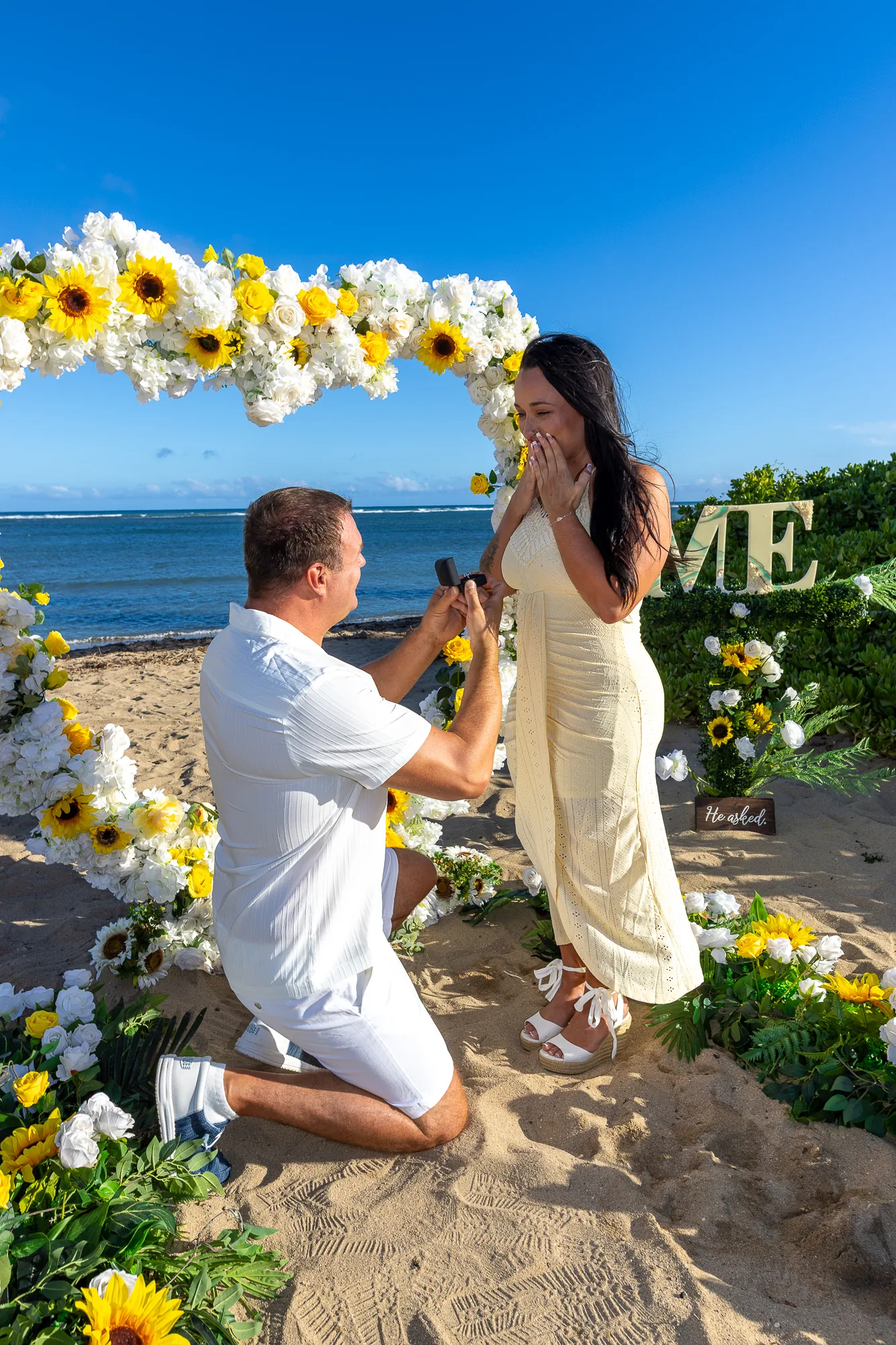 The proposal in the sunflower heart