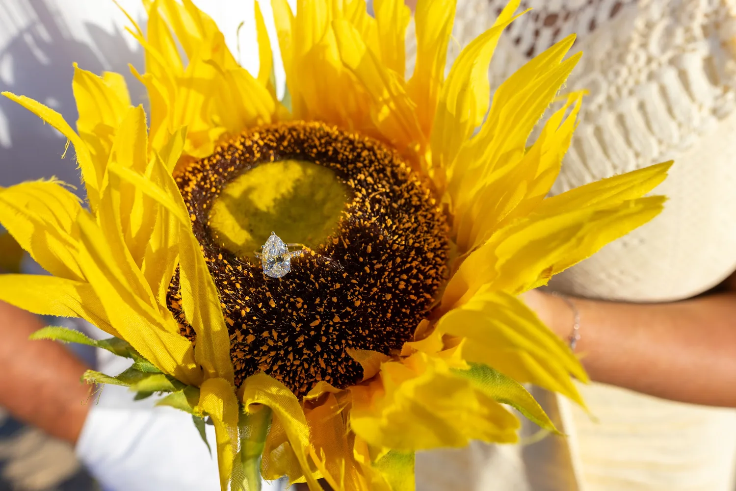 A close up of the ring in the sunflower