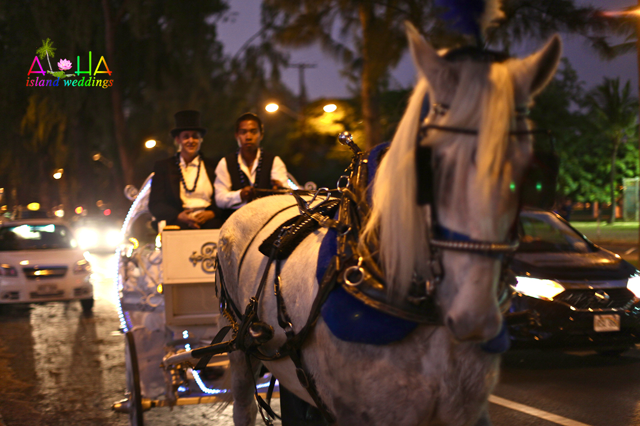 White horse-drawn carriage waiting for the couple at night