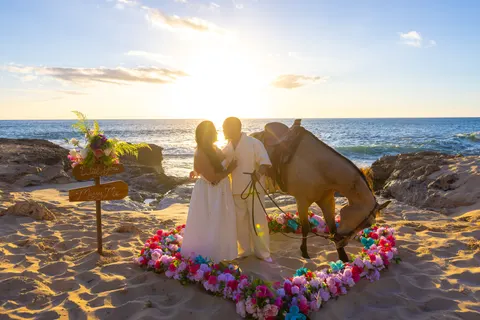 Horse leaning in to the couple at the flower heart, at a horseback proposal on Oahu
