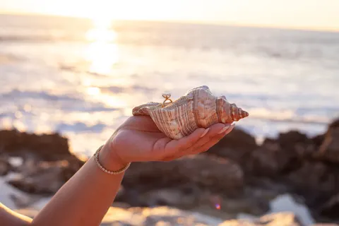 Ring in a conch shell at sunset, at a horseback proposal on Oahu