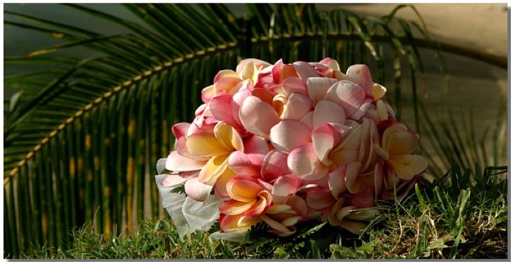 Pink and white plumeria bouquet for a Hilton Hawaiian Village wedding