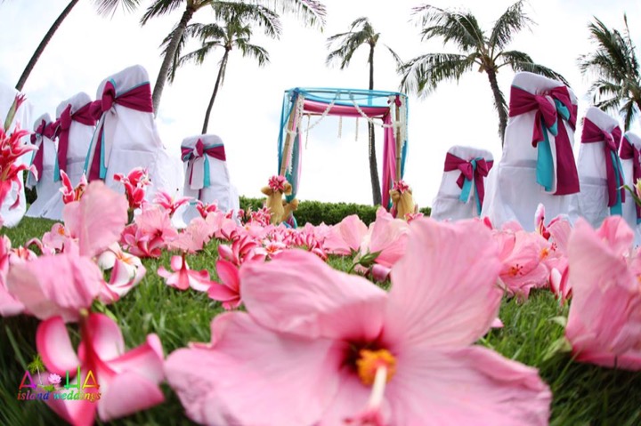 Pink hibiscus and white chairs with fuchsia sashes at a Paradise Cove wedding