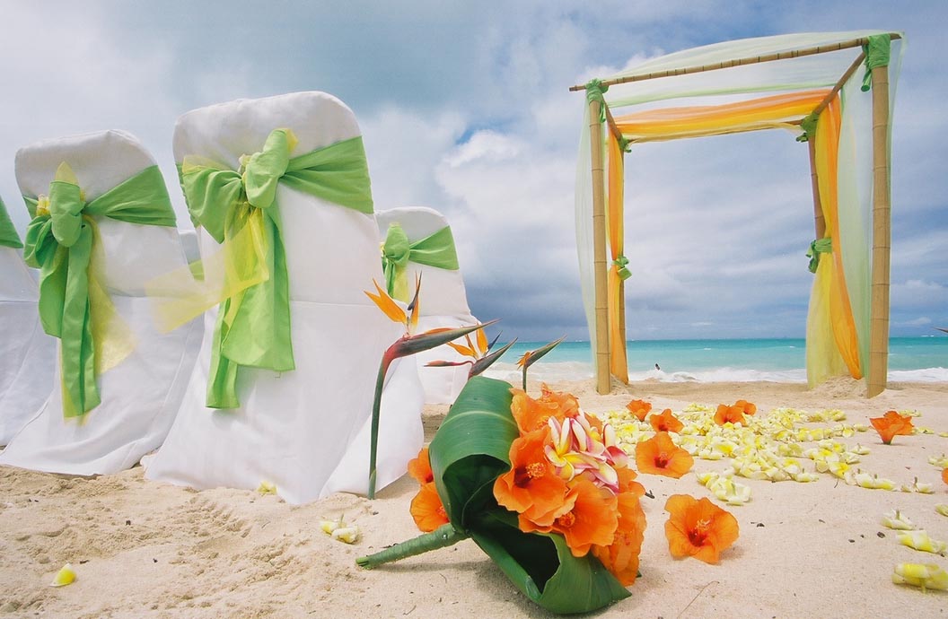 birds of paradise flowers are placed in the sand