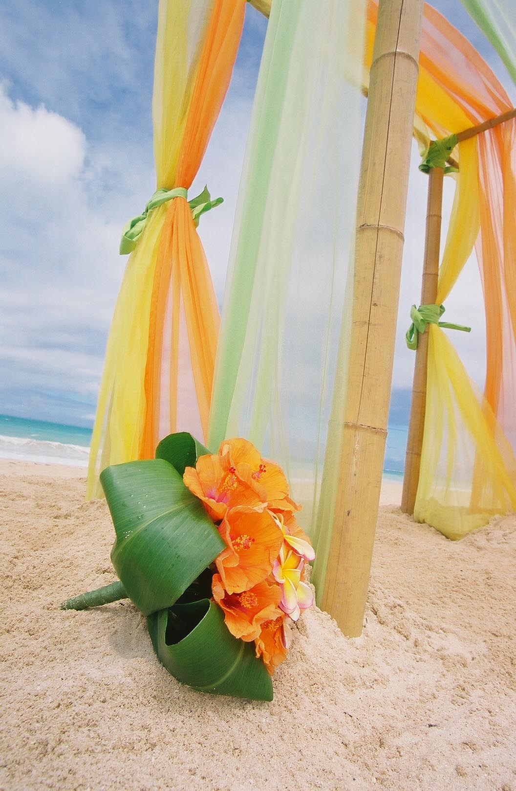 bamboo arch closeup