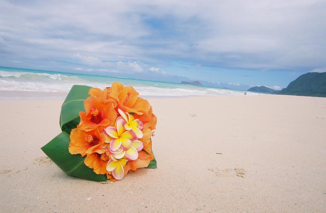 orange hibiscus bouquet with rainbow plumerias on the beach