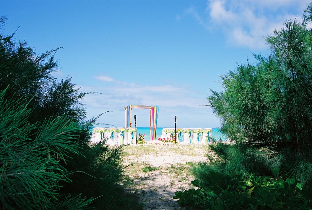 looking through the trees of the iron wood to see the beach arch setup in Hawaii for the wedding of Courtney