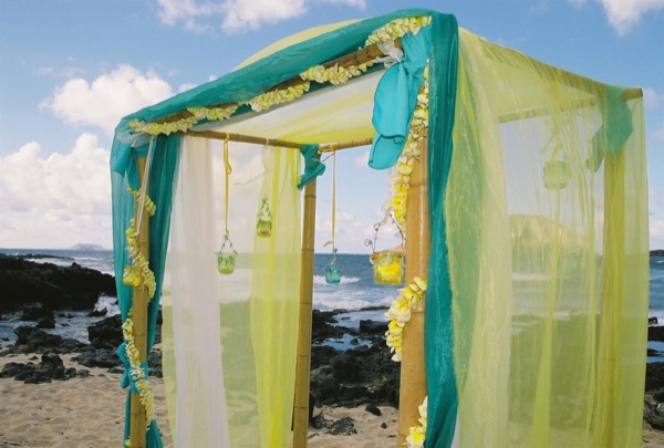 Wedding set up turquoise fern plants with yellow plumeria, close up