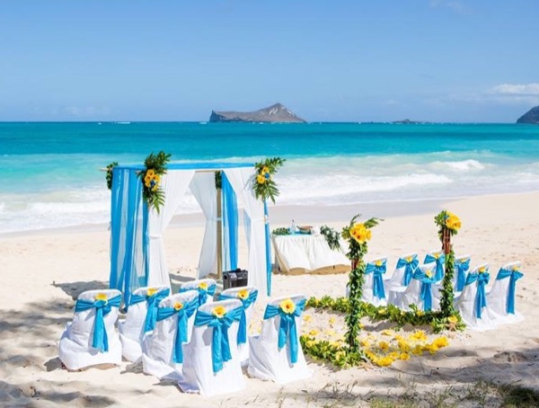 Blue sheer on white with yellow hibiscus arch Hawaii