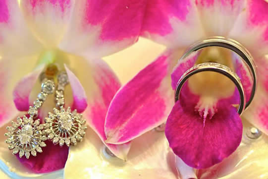 Rings on the orchids Jennifer