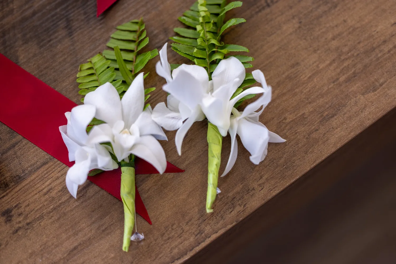 White orchid boutonnieres with fern for the groom and groomsmen