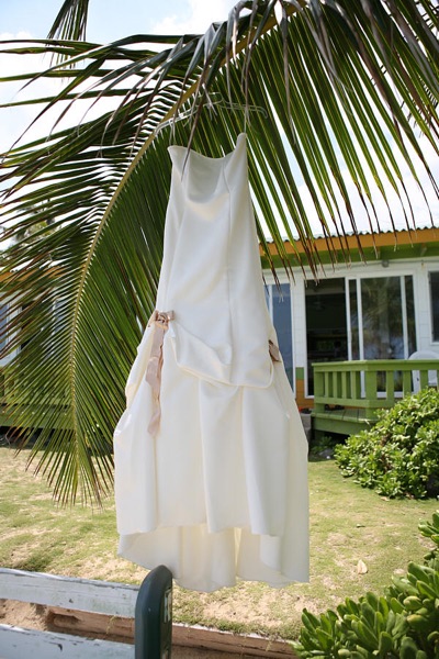 Jo's dress hanging on a palm tree