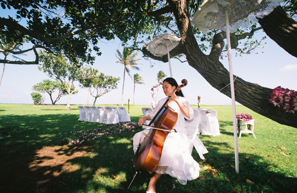 Paul and Trisha's wedding at Kualoa Beach Park
