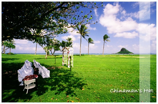 Park ceremony under the trees with Chinaman's Hat island in the distance