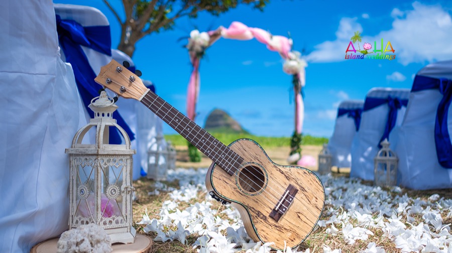 Ukulele on the grass at a Kualoa Beach Park wedding