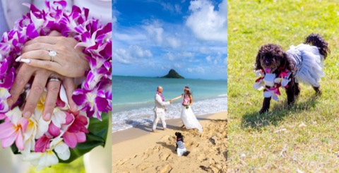 Wedding rings on a purple orchid lei at Kualoa