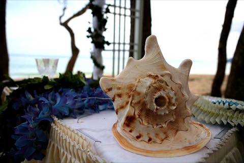 Blue and purple orchid leis around a conch shell under a white arch on Oahu